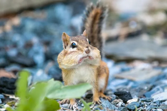 91 Astonished Animals Who Are Freaked Out By What's Happening