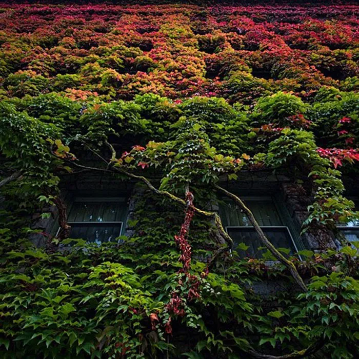 Sylvia Hotel, Vancouver, Canada
