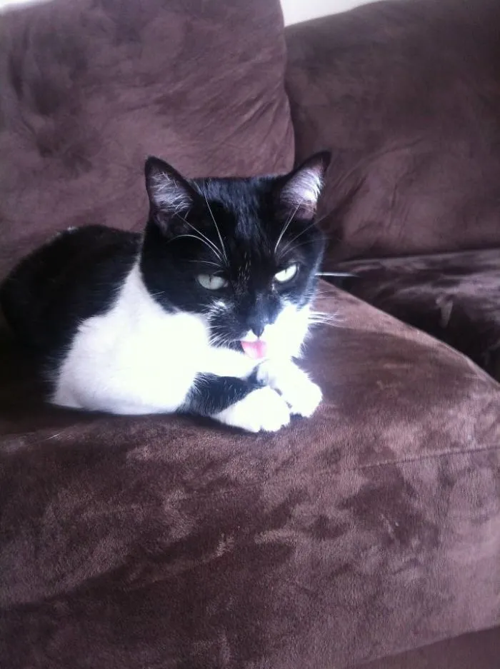 My Toothless Monster
