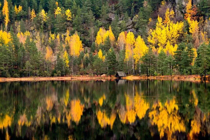 Hillestadheia Autumn