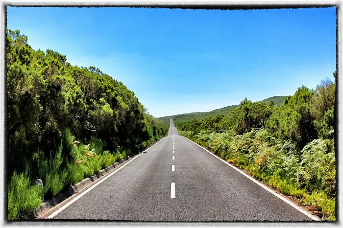 Road To Paul Da Serra, Madeira Island, Portugal