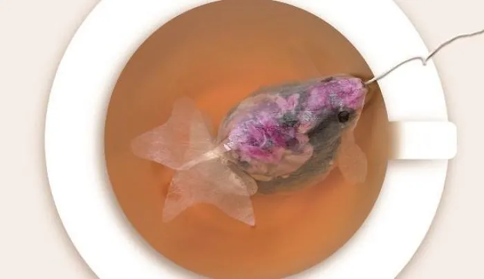 Fishbag