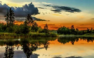Tranquility