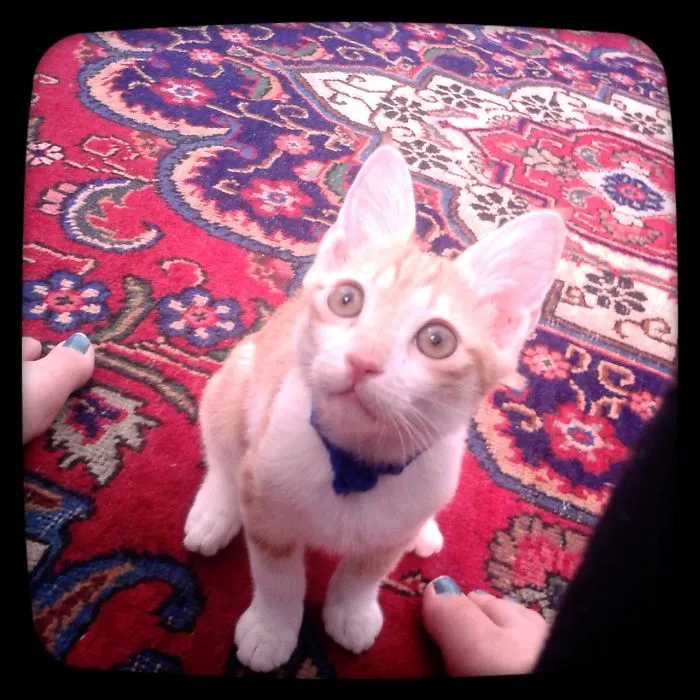 Biggest Ears ^_^ #pishuli