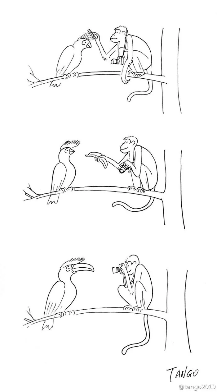 Simple But Clever Comics By Shanghai Tango (Part II)