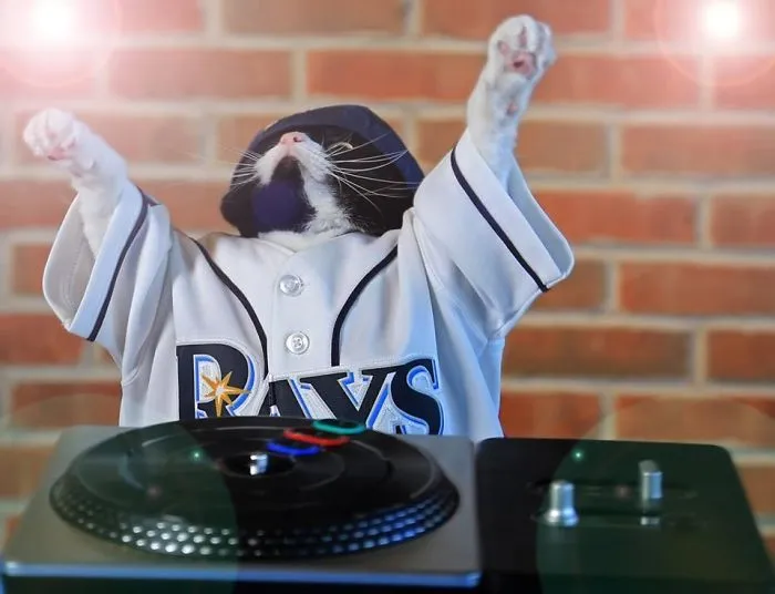 Dj Kitty
