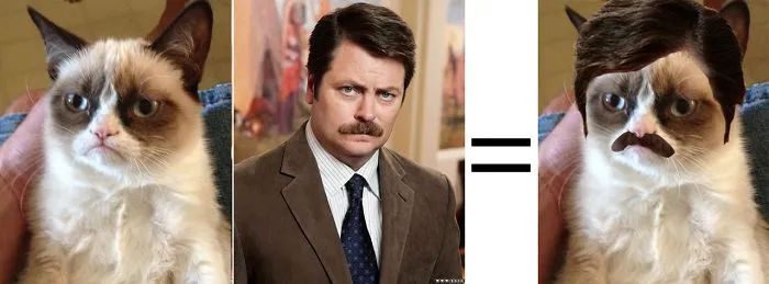 Grumpy Cat Looks Like Ron Swanson