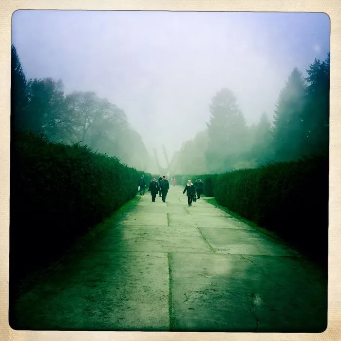 Misty Cementary, Szczecin, Poland