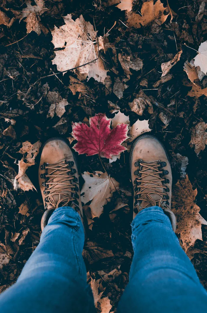 Oh, Hey November!