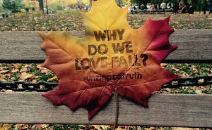 Street Art Turns Into Leaf Art In New York