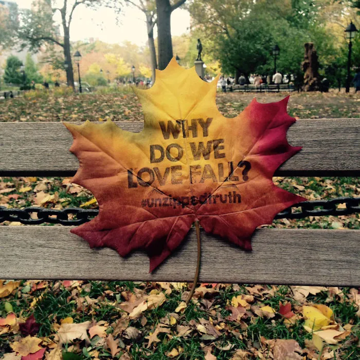 Street Art Turns Into Leaf Art In New York
