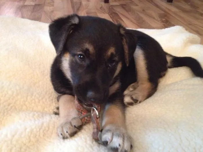 Chloe - 2 Months