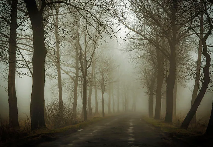 Misty Road - Poland