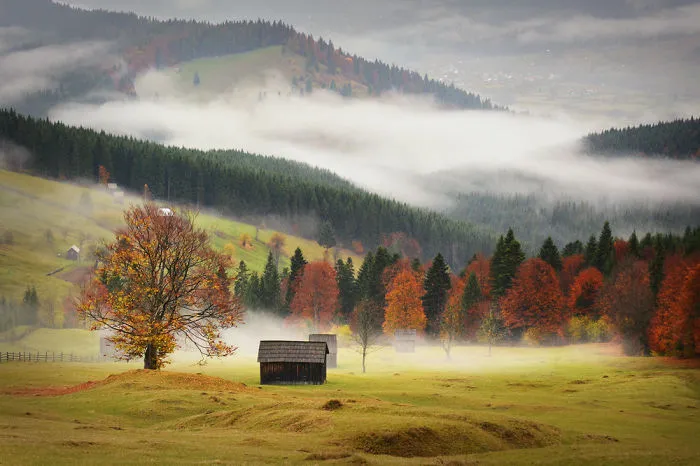 Bucovina