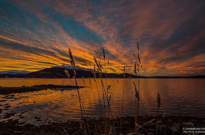 Senja