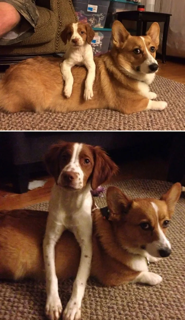 3 Months Apart