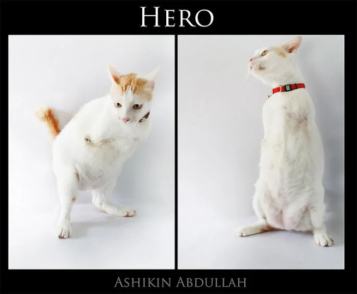 Hero
