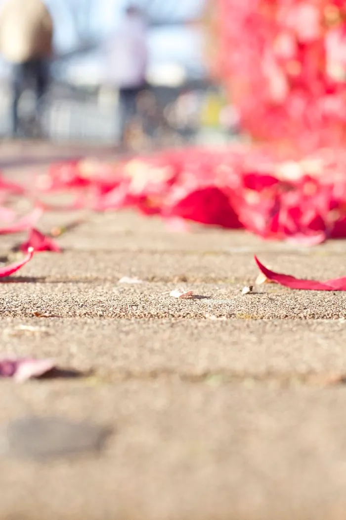 What The Concrete Saw: Red Leaves, Vancouver Canada