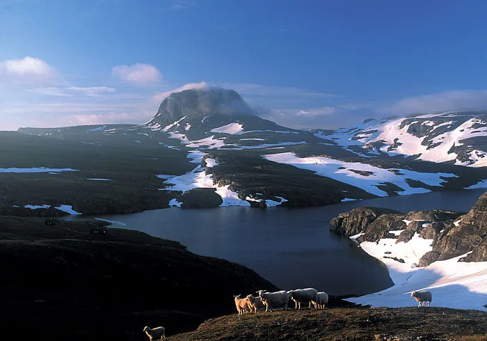 Hardangervidda