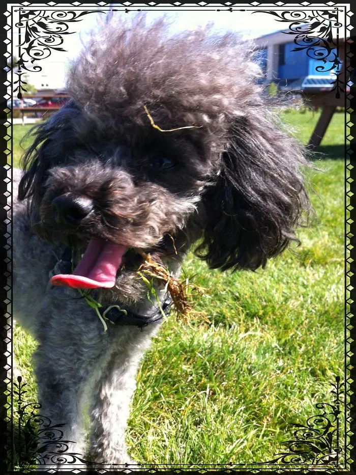 You've Got A Little Something On Your Face....
