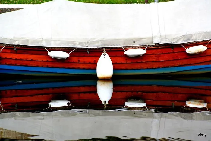 Water Reflection