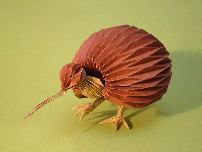Kiwi