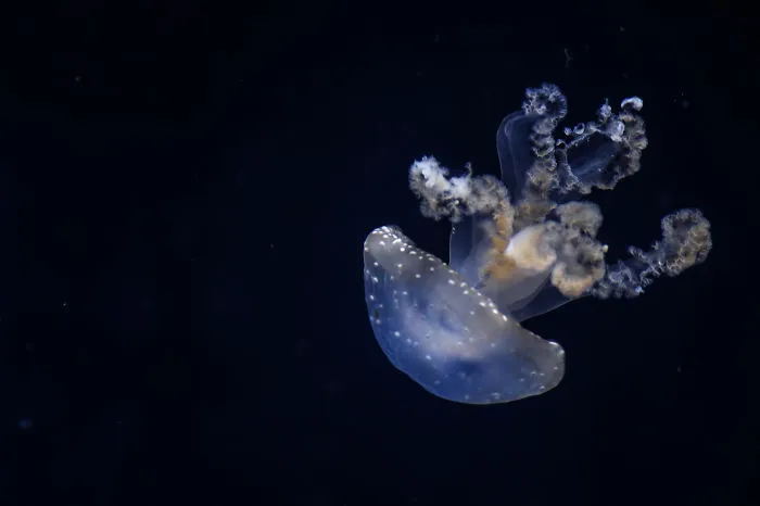 Out Of The Blue 3