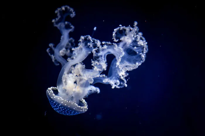 Out Of The Blue 2