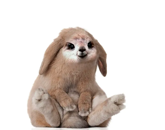 Llhamit