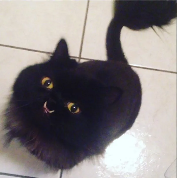 Princess Monster Truck -- Monster The Cat