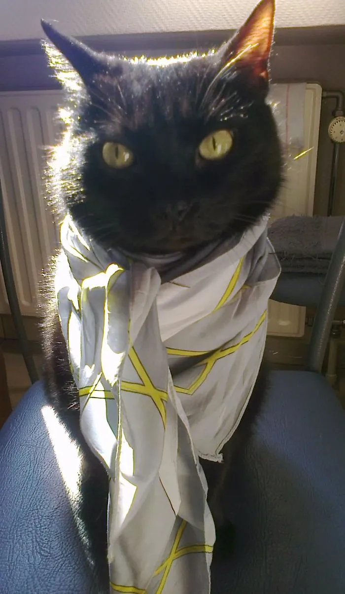 Billy, The Time Cat