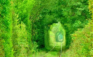 301 Reasons Why You Should Visit Romania