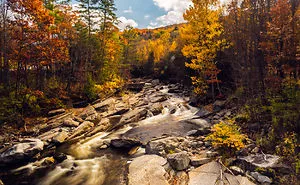 Vermont Blues