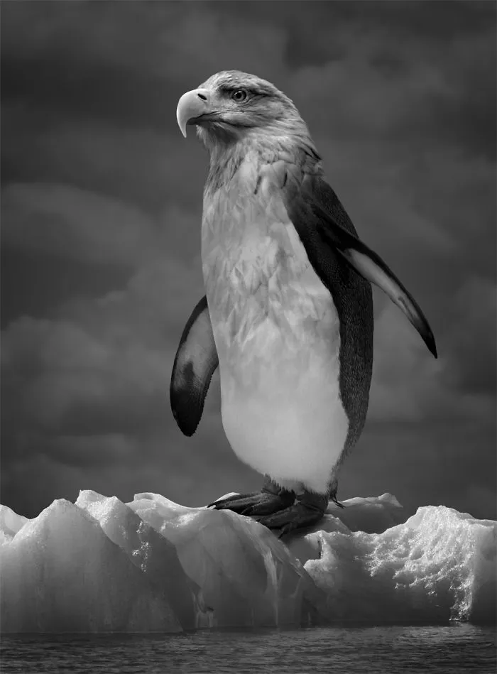 The Eagluin