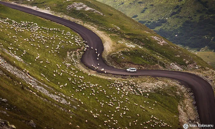 Mountain Road