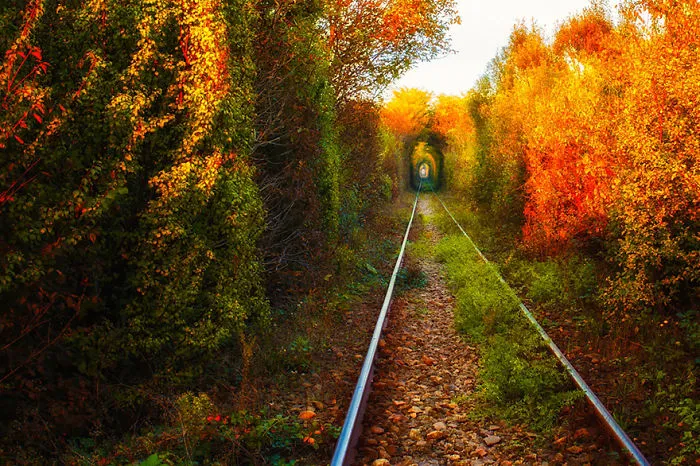 Romanian Tunnel Of Love
