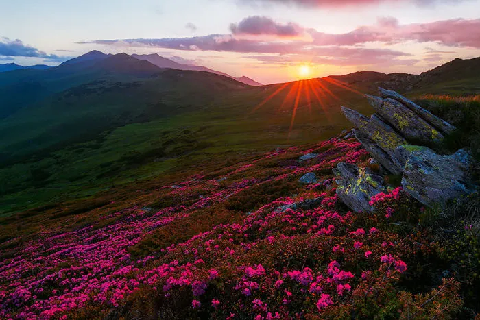 Rodnei Mountains, Romania