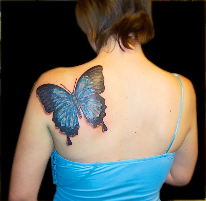 Butterflies