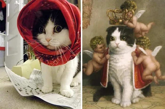 Cat Looks Like A Cat From The Painting