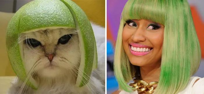 Kitty With Pomelo Hat Looks Like Nicky Minaj