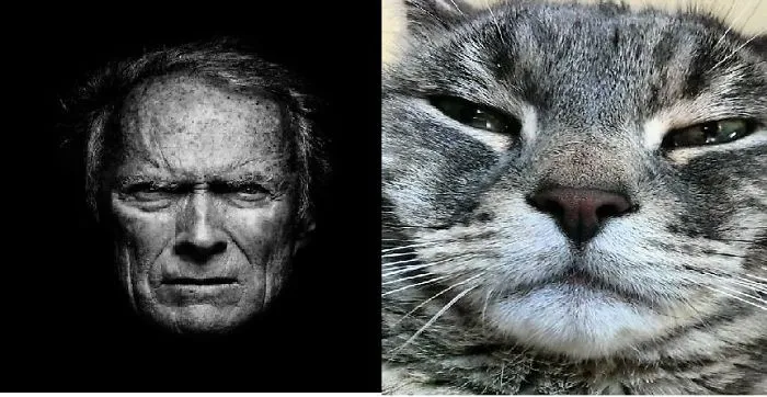 Clint Eastwood Vs. Tucker