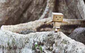 My Photographic Project Of The Famous Danbo