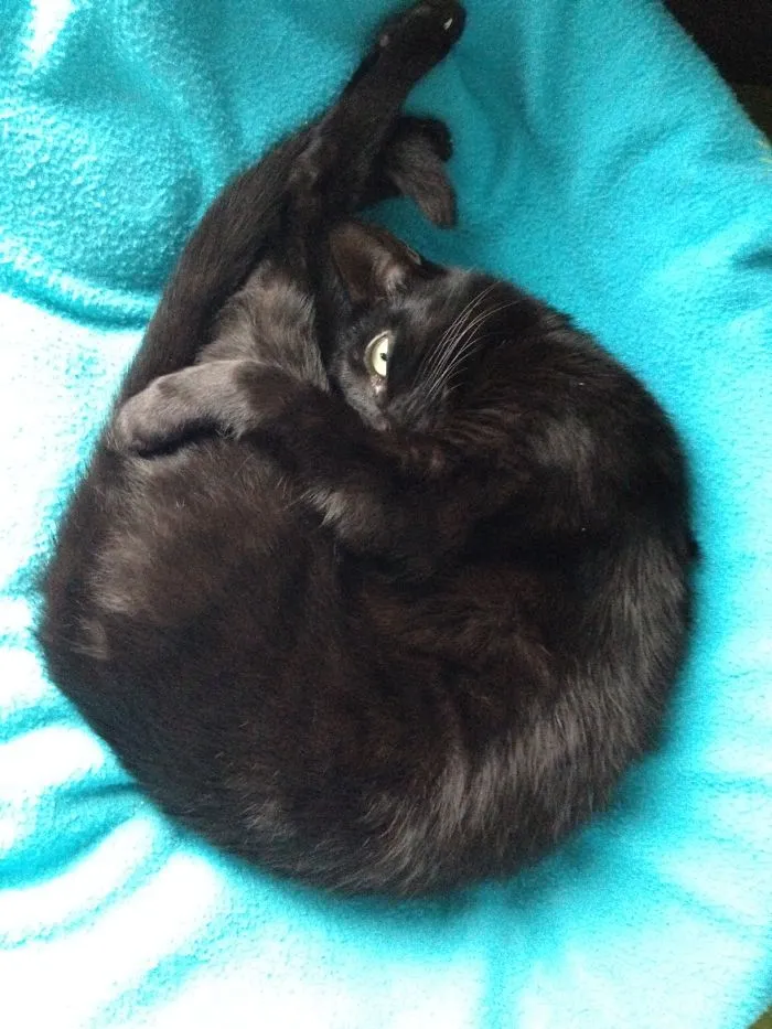 Lazy Rita