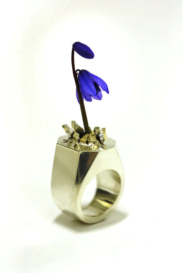 Flower Ring With Soil
