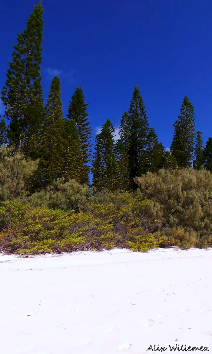 White Green Blue