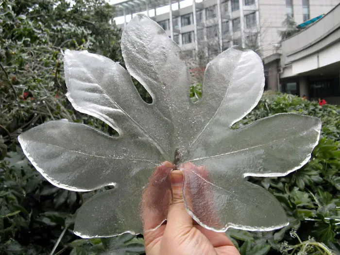 After Freezing Rain In China