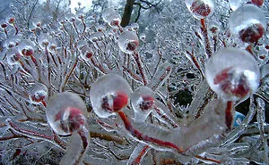 30 Beautiful Ice And Snow Formations That Look Like Art