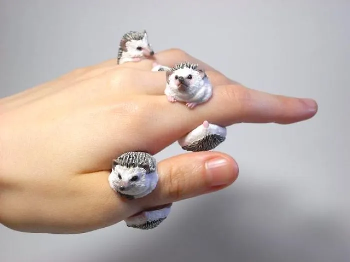 Hedgehog Rings By Jiro Miura