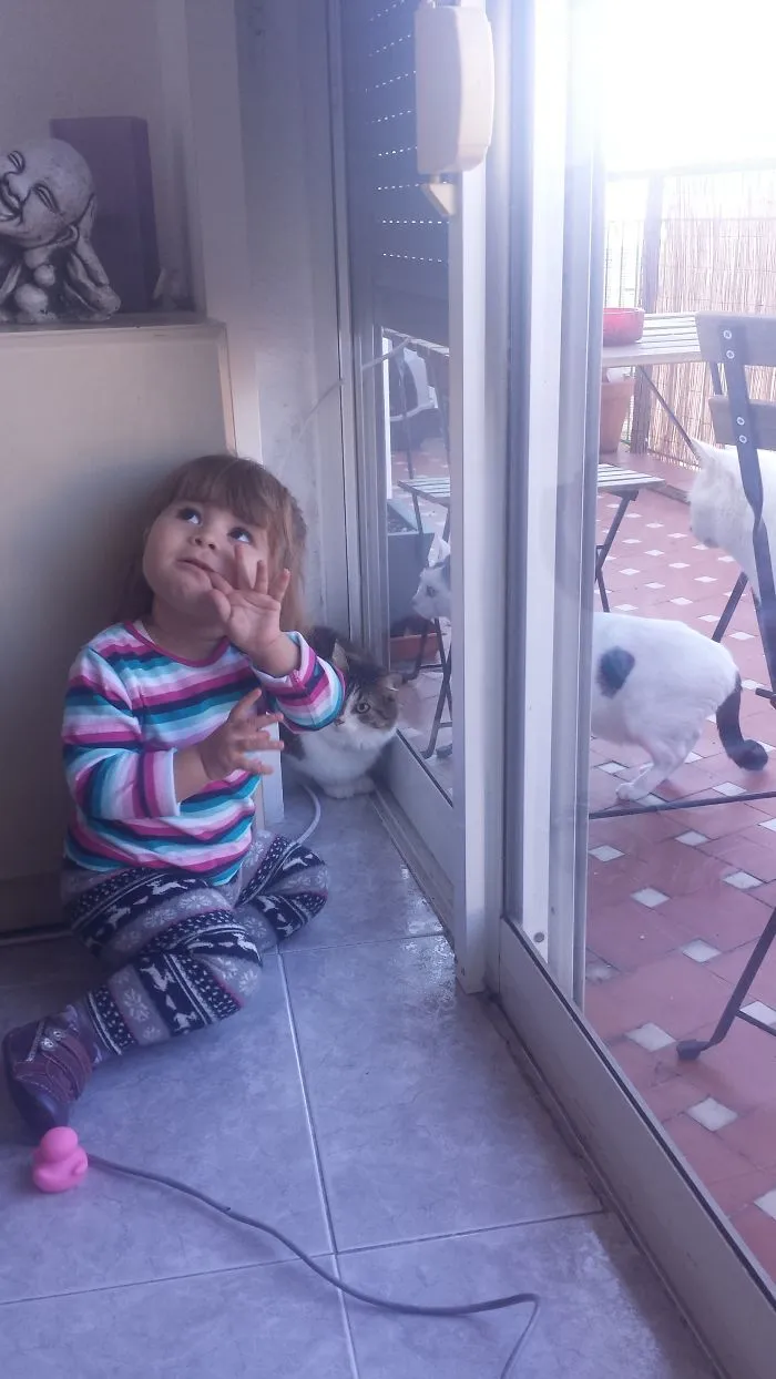 179 Heartwarming Photos Of Kids Playing With Their Cats