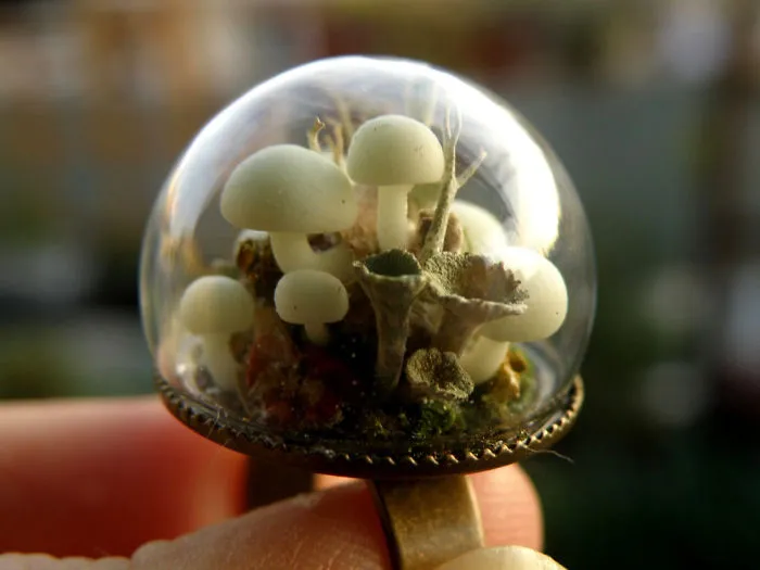 Mushroom Ring